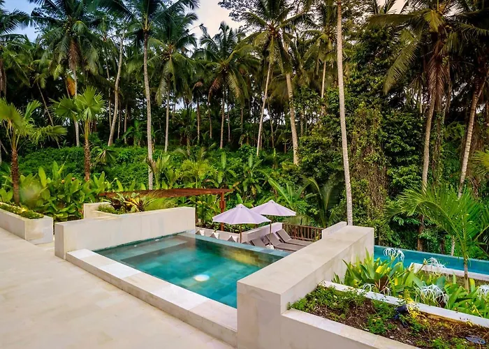Villa La Jungle *