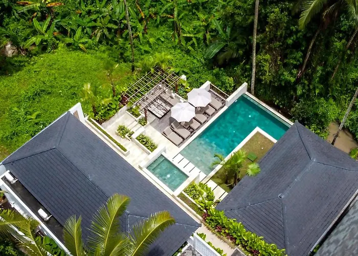 La Jungle Villa *