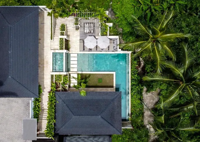 La Jungle Villa *